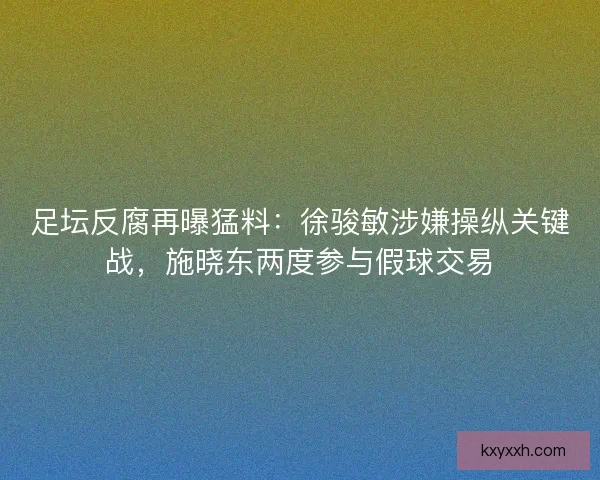 足坛反腐再曝猛料：徐骏敏涉嫌操纵关键战，施晓东两度参与假球交易
